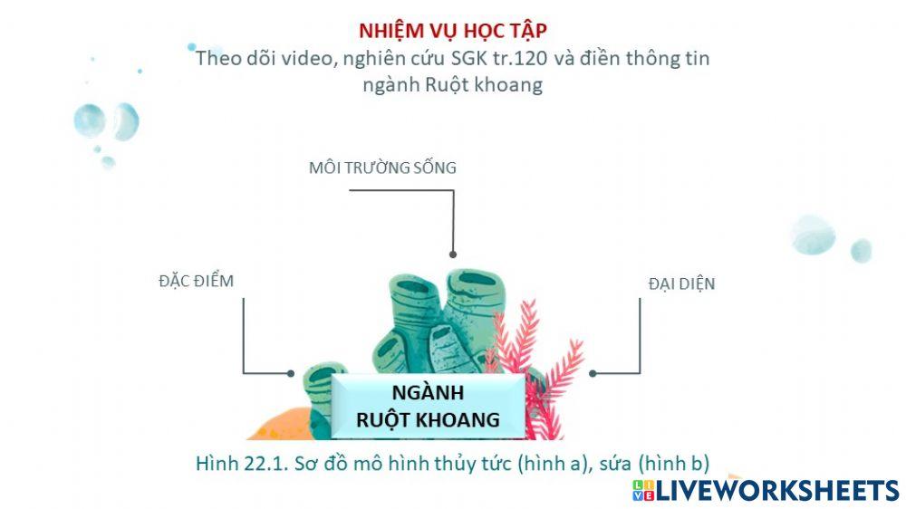 giáo án chủ đề ruột khoang