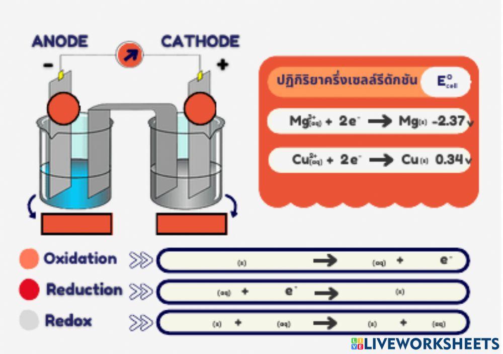 เซลล์เคมีไฟฟ้า