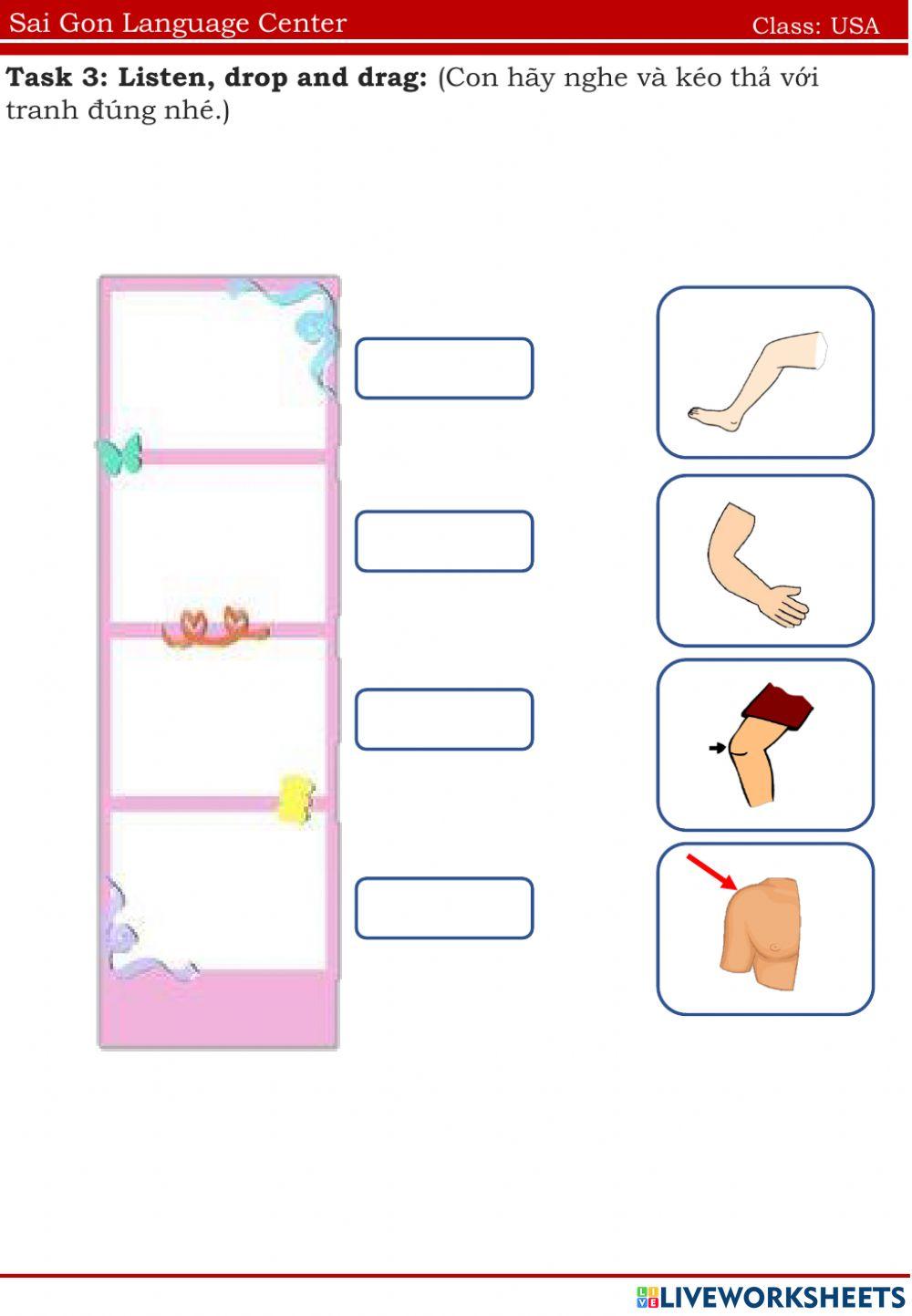 USA knee, arm, leg, shoulder