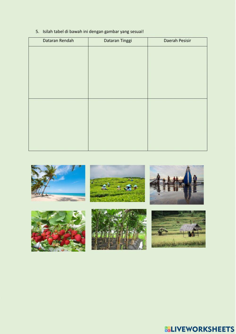 Keragaman Alam Indonesia