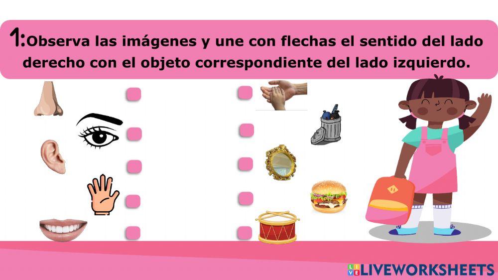 Aprendamos con duafy