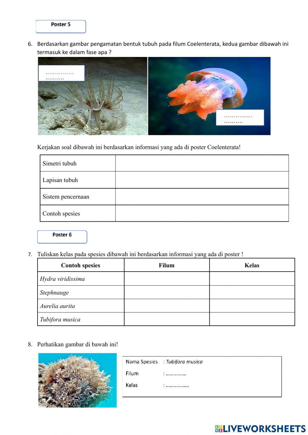 Avertebrata siklus 1 ppl 1 biologi