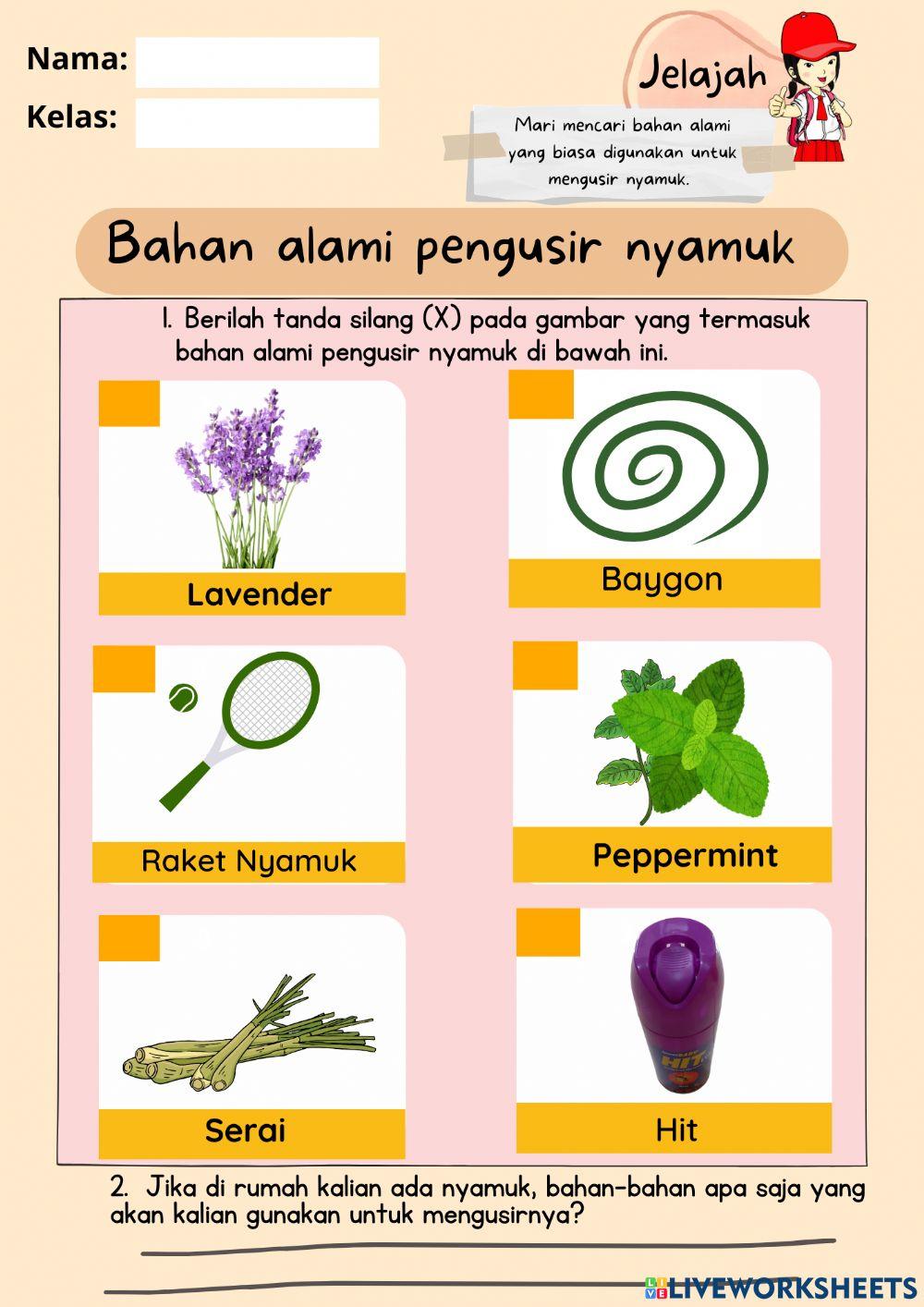 Tanah-Jelajah Page 27