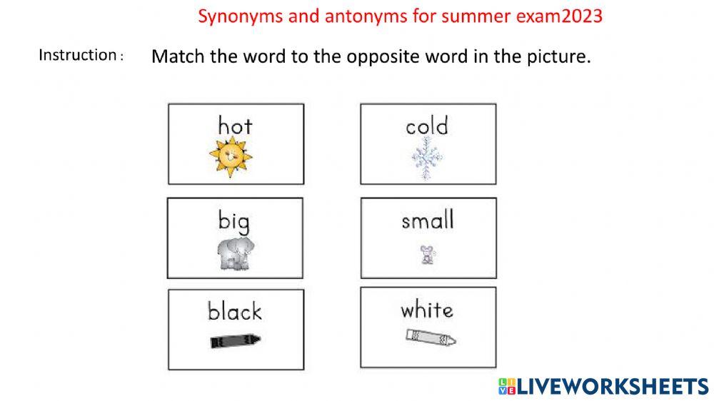 Summer term exam 2023