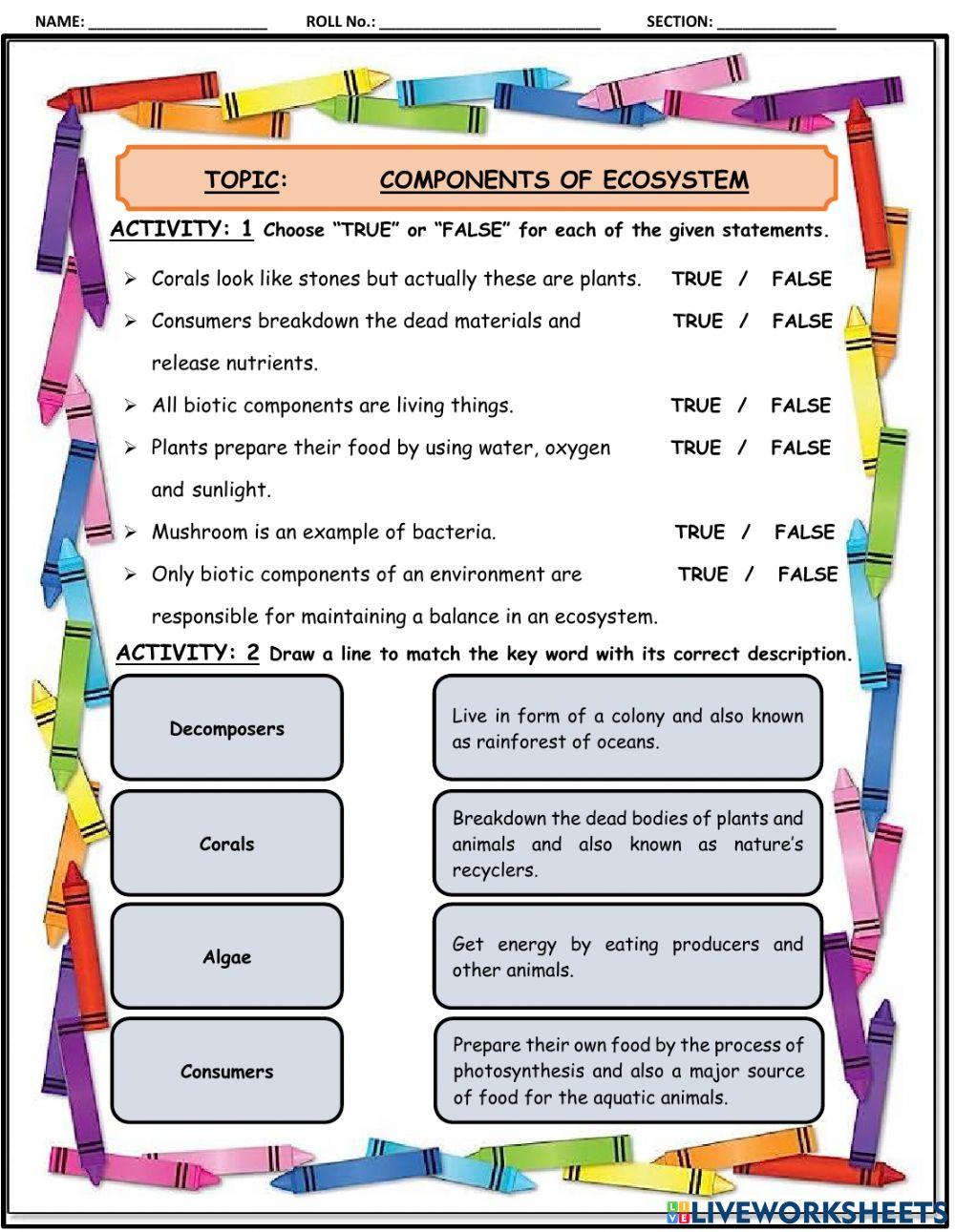 Producers, consumers, decomposers
