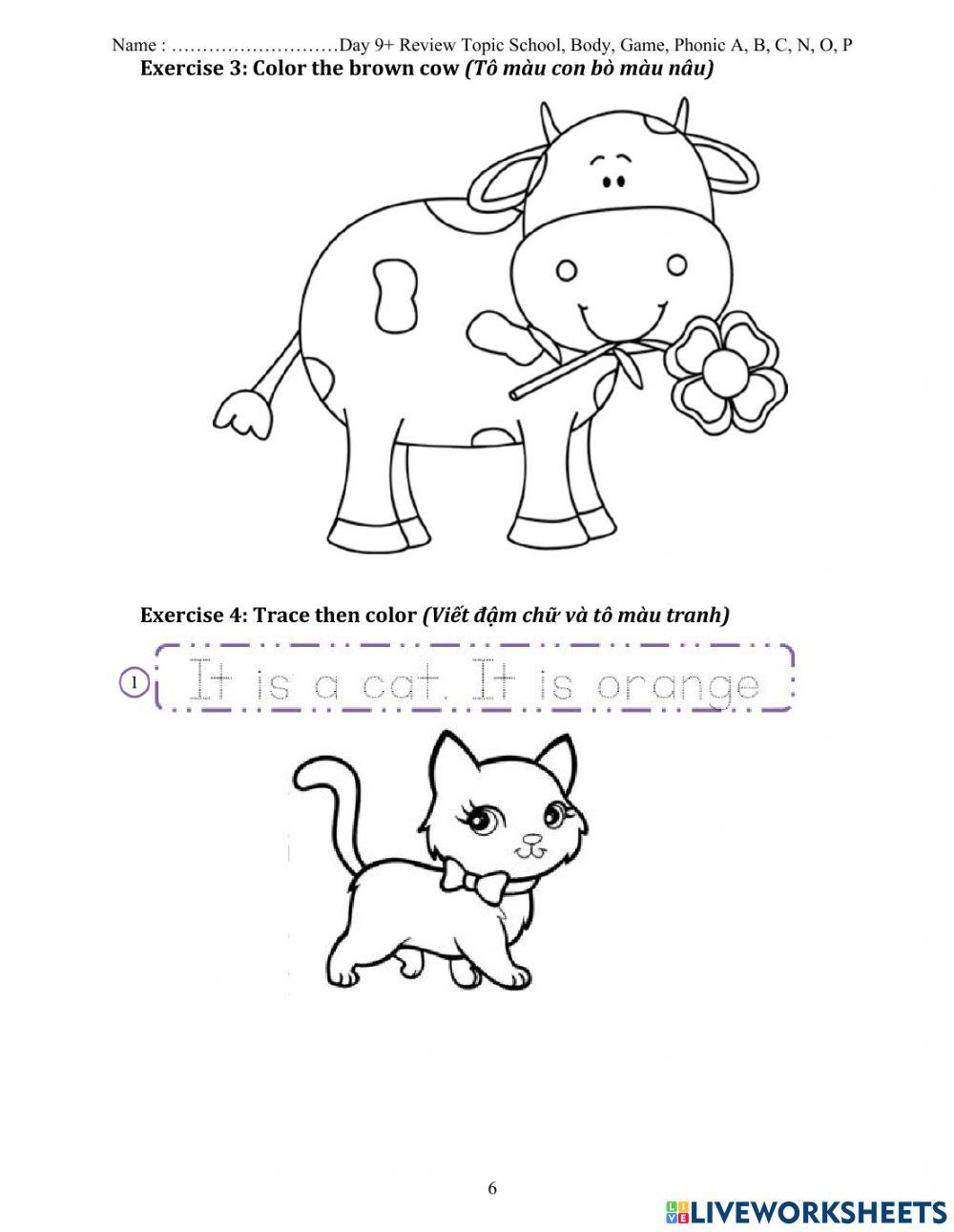 Review phonic A-B-C-N-O-P & Topic: School-body-game