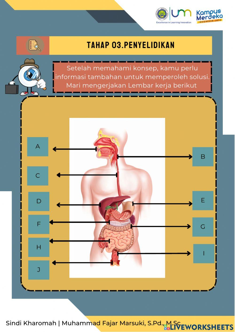 Lkpd pembelajaran 3 materi sistem pencernaan kelas viii kasus lambung