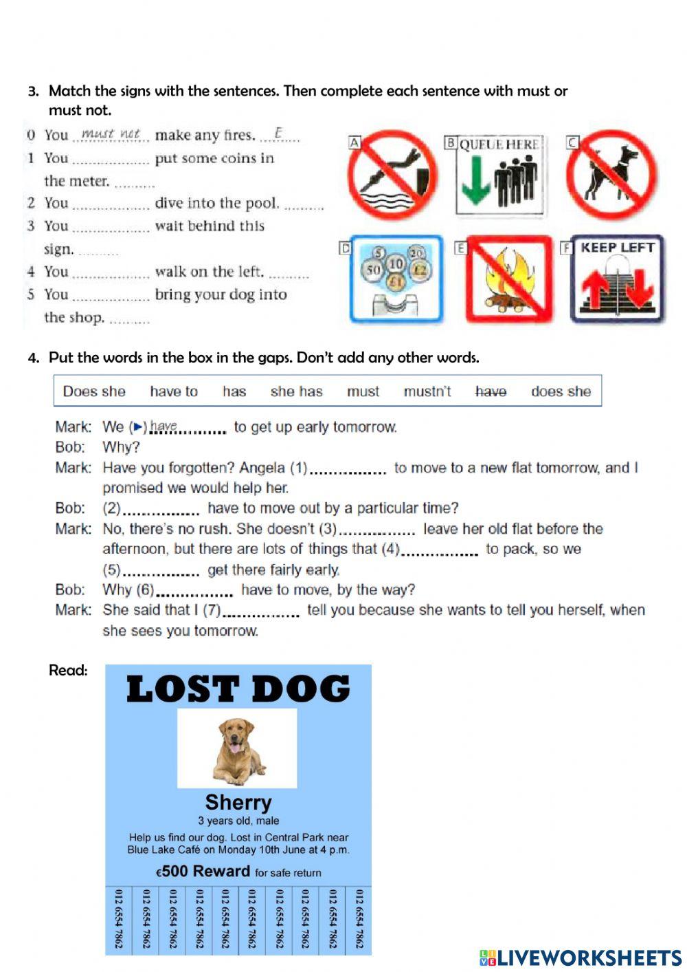 A1 (WRITTEN SECTION)