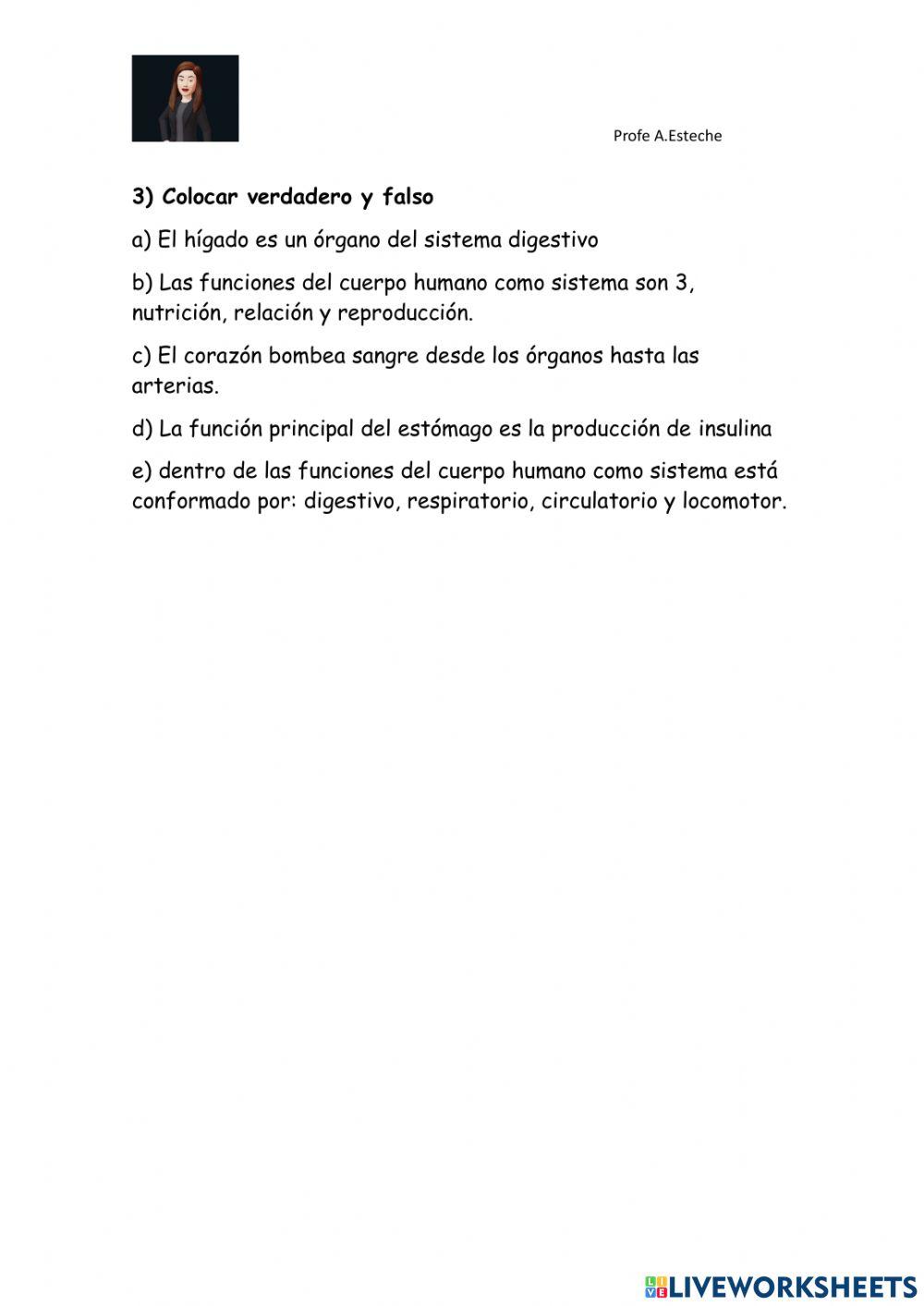 Cuerpo humano como sistema