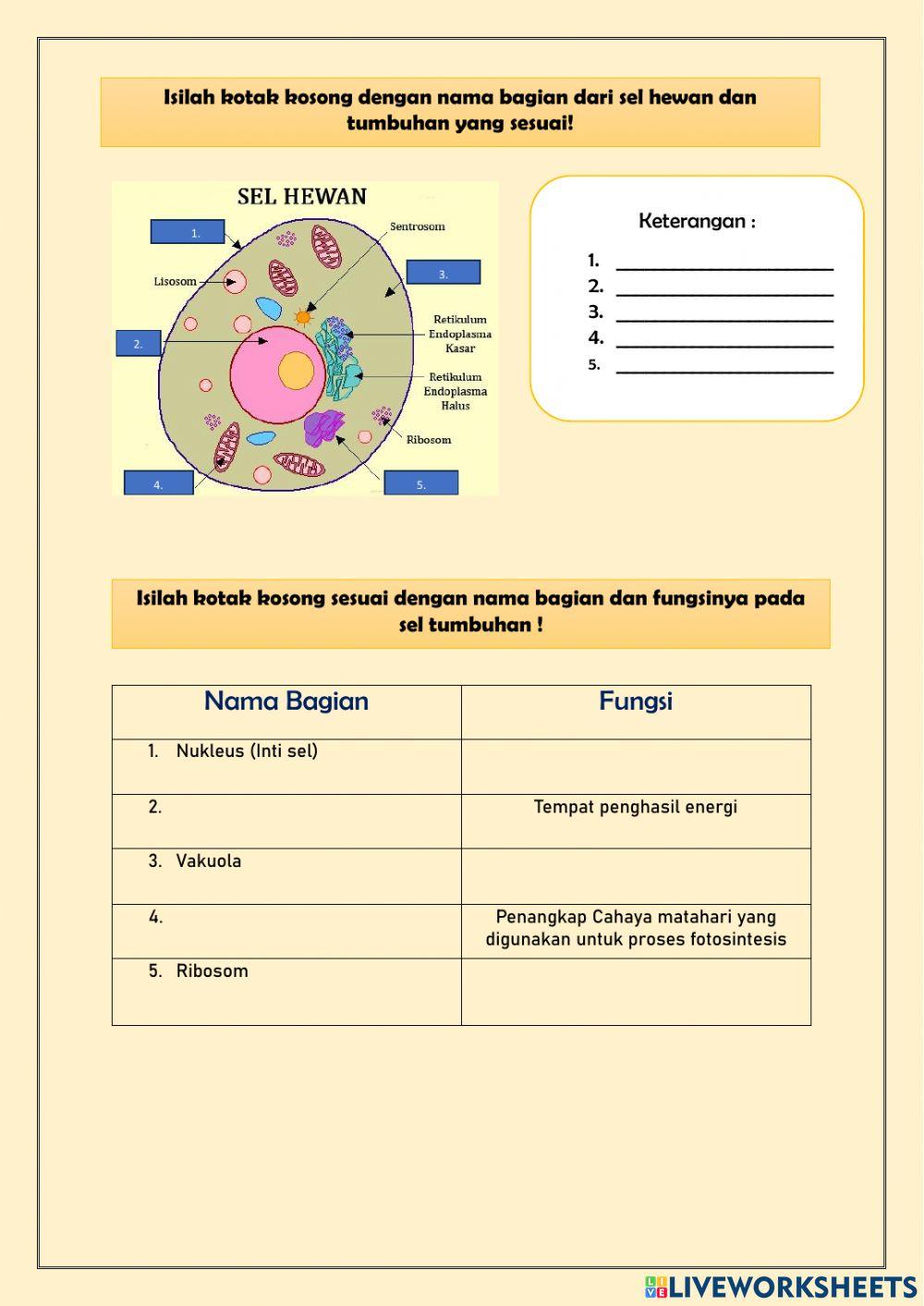 LKPD 1 (Pengenalan Sel)