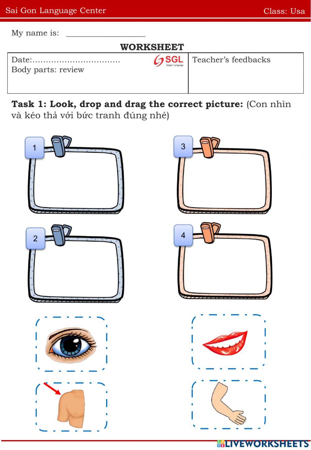 Usa body parts 14.07