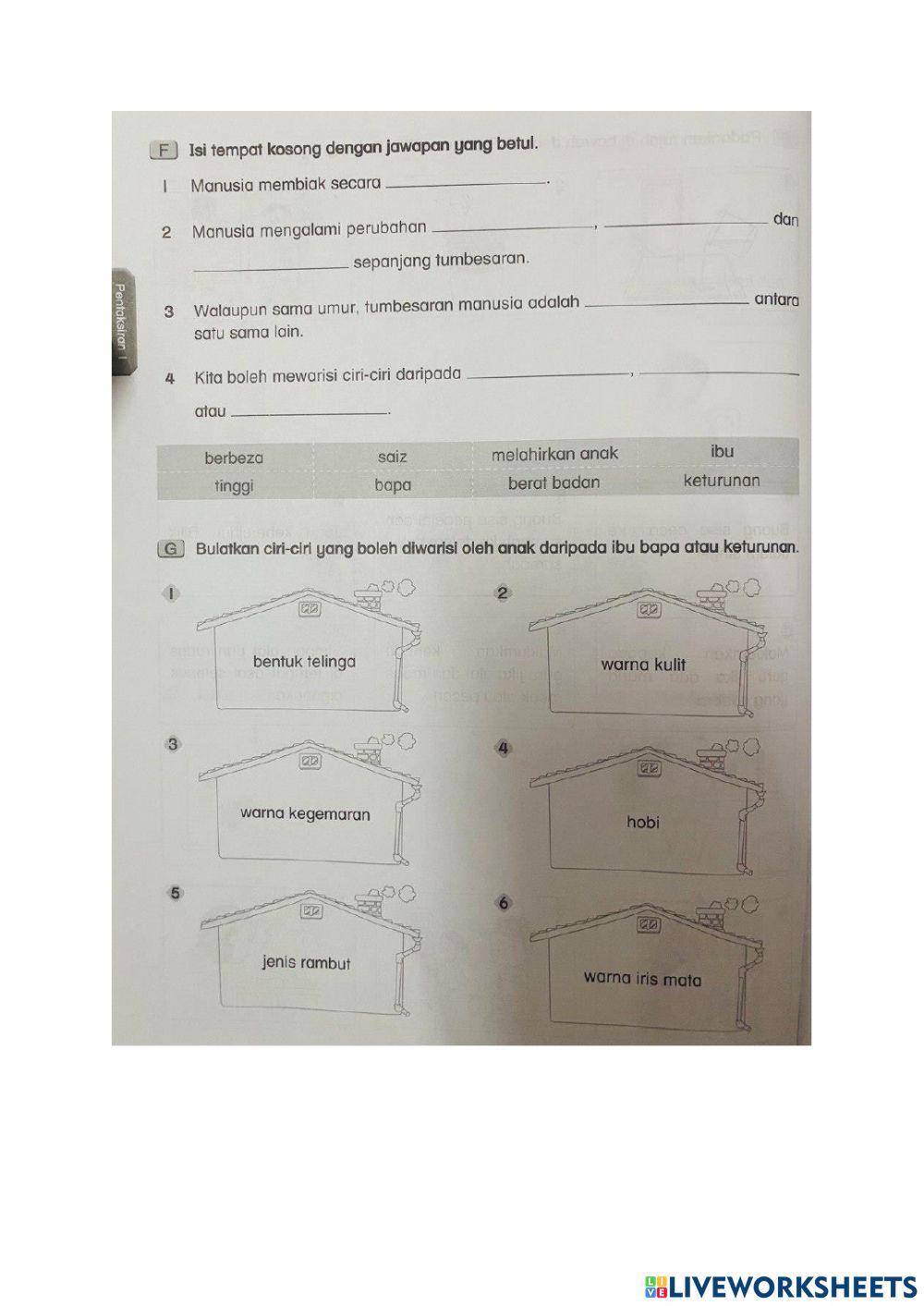 Pentaksiran 1 sc darjah 2