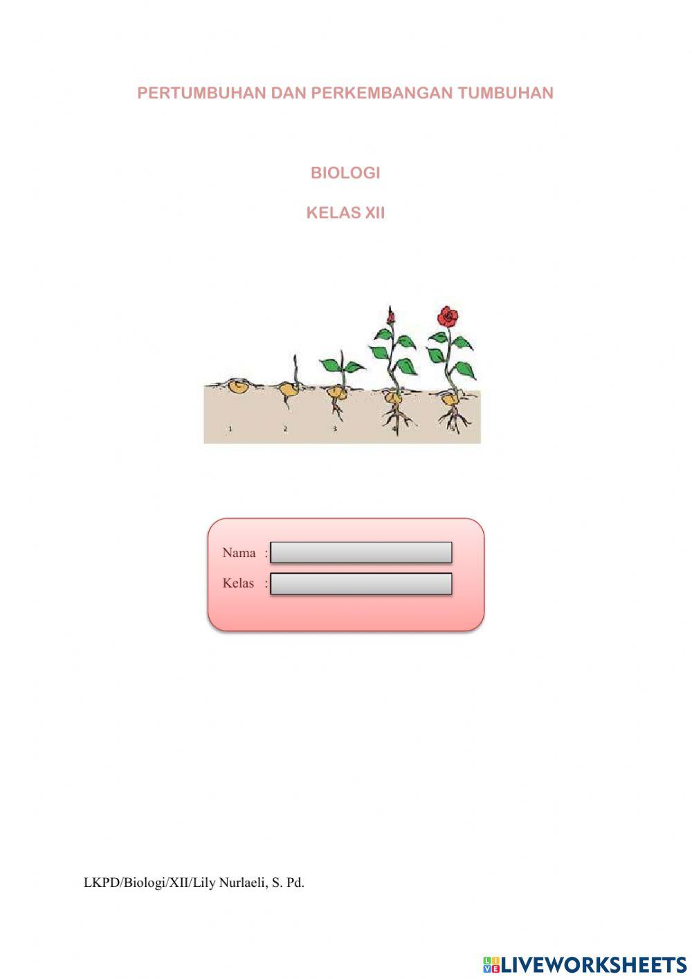 LKPD-Pertumbuhan dan Perkembangan Tumbuhan