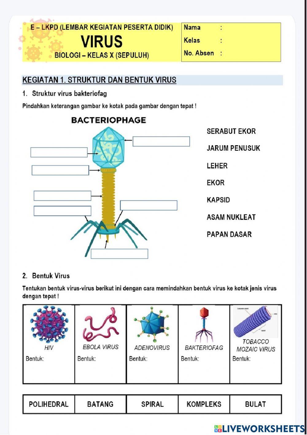 LKPD Elektronik Virus