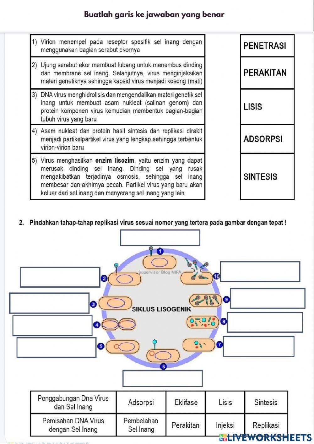 LKPD Elektronik Virus