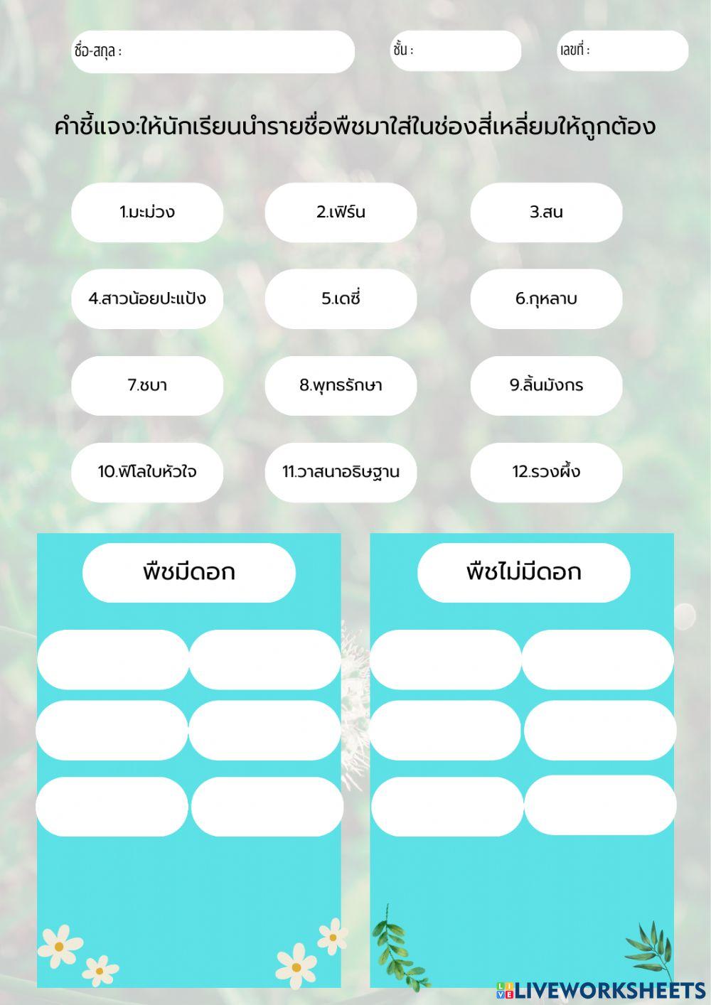 พืชมีดอกพืชไม่มีดอก