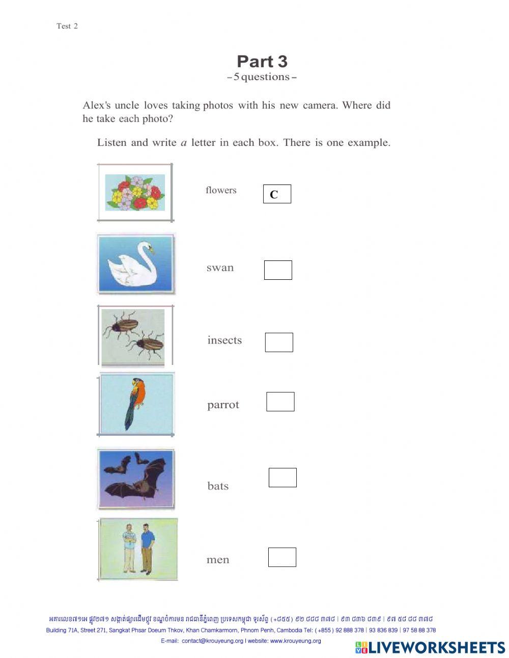 English entrance exam- Flyers