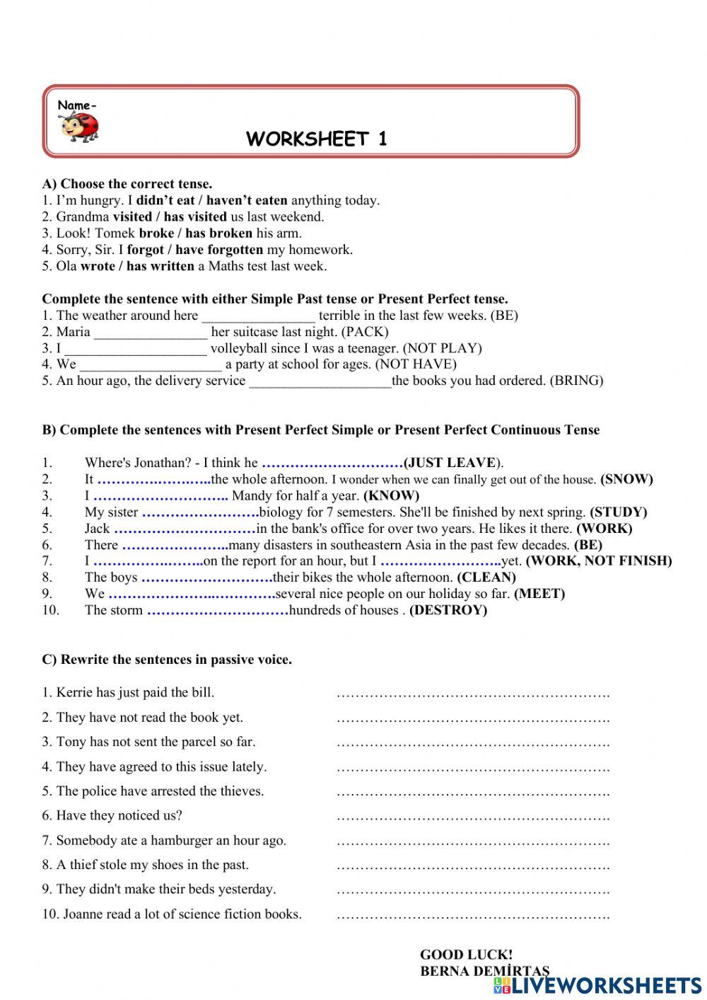 Worksheet 1-Erdem- july 2023