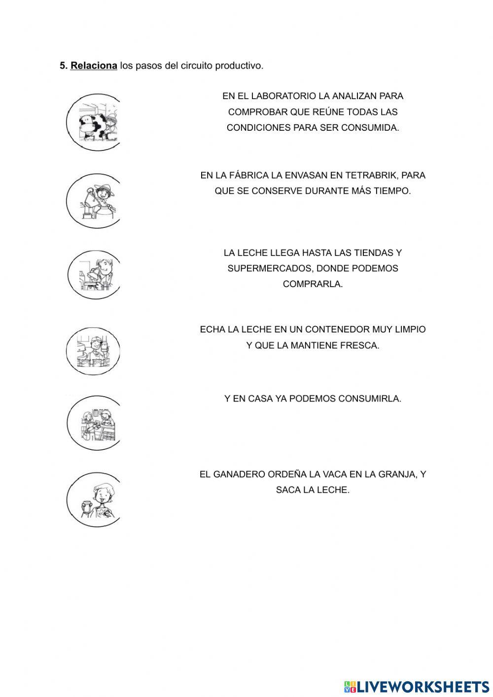 Campo- Ciudad- Circuito Productivo