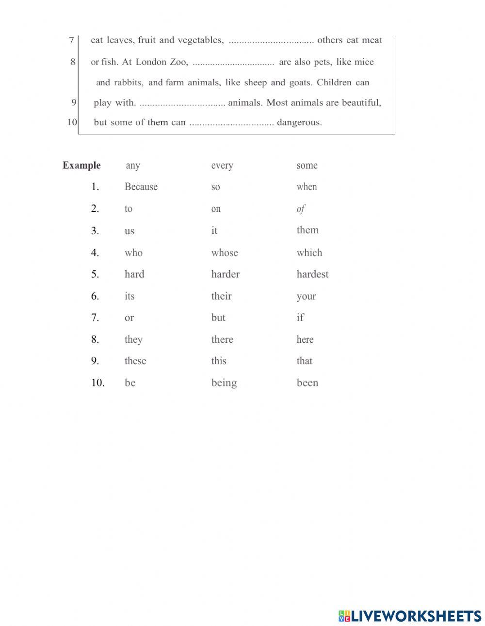 Placement test-flyers reading and writing