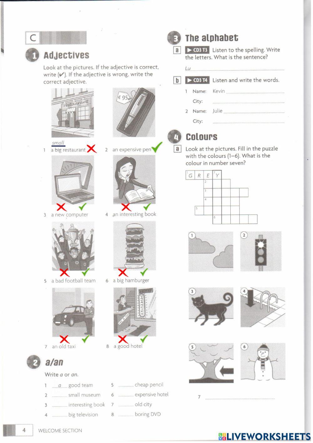 Asesmen Diagnostik Kelas 7 Doelan