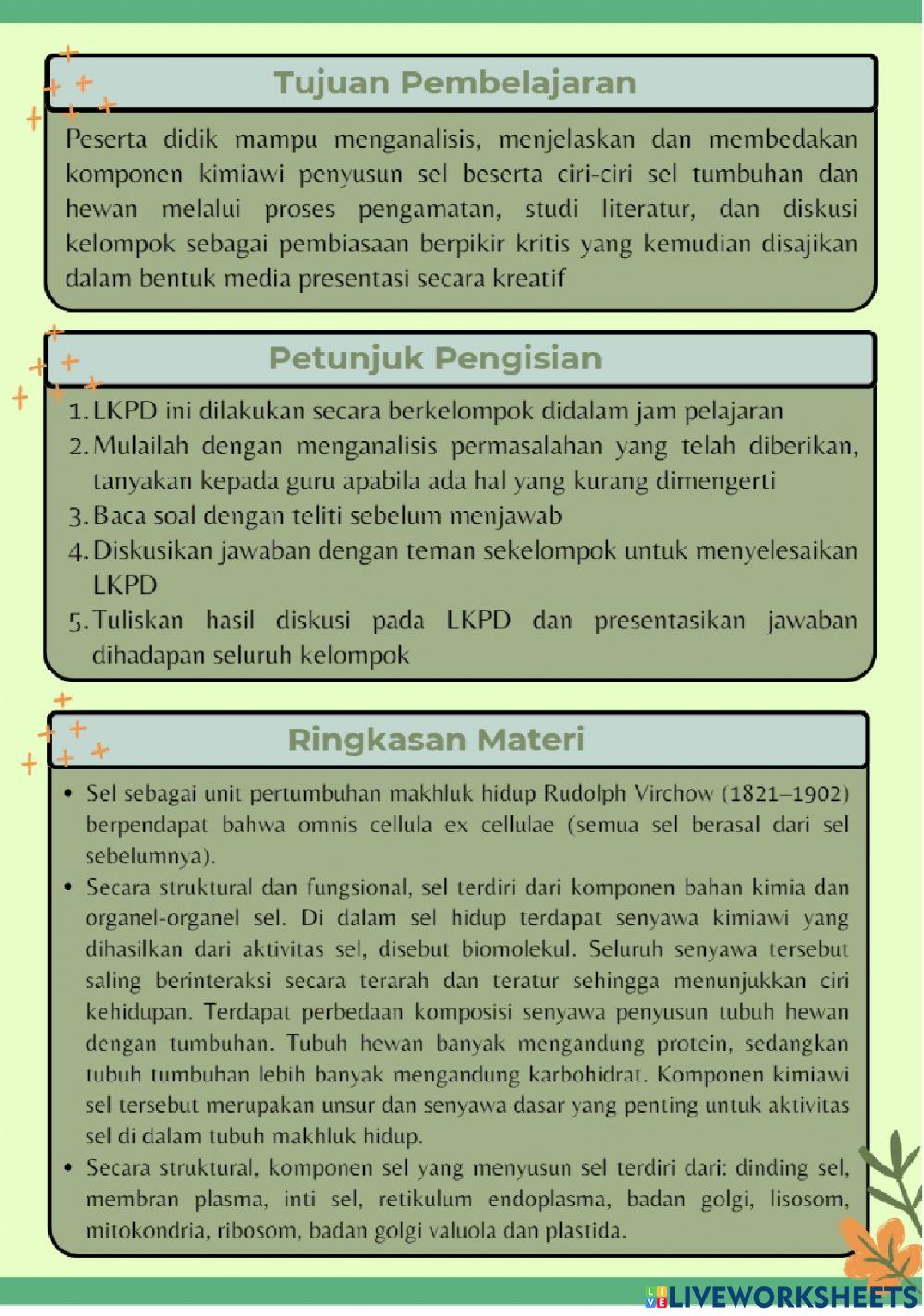 LKPD SEL (Kelompok Kinestetik)