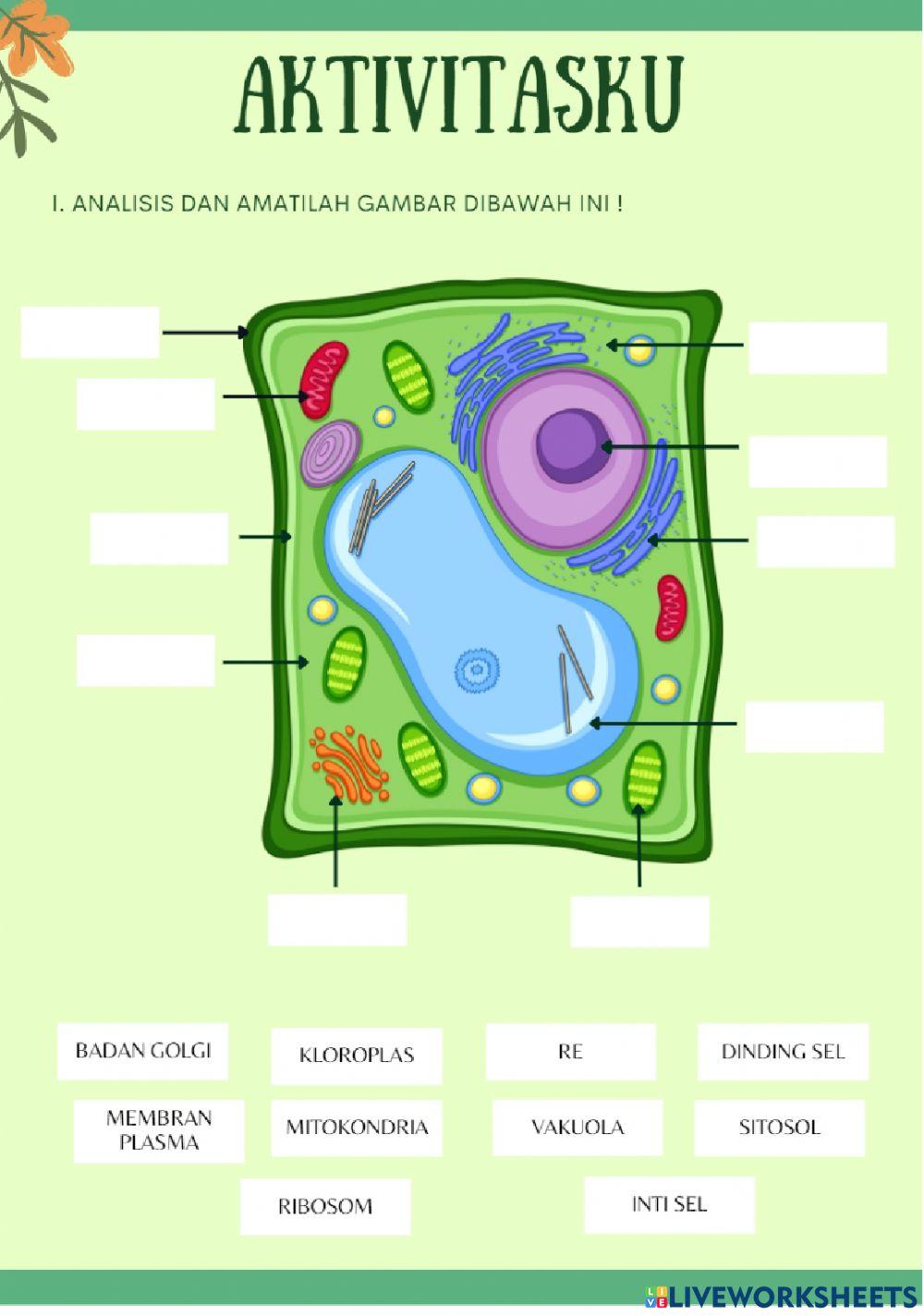 LKPD SEL (Kelompok Kinestetik)