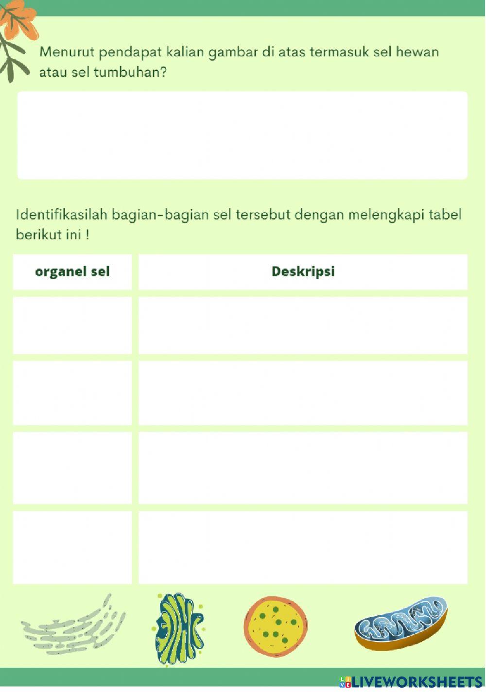 LKPD SEL (Kelompok Kinestetik)