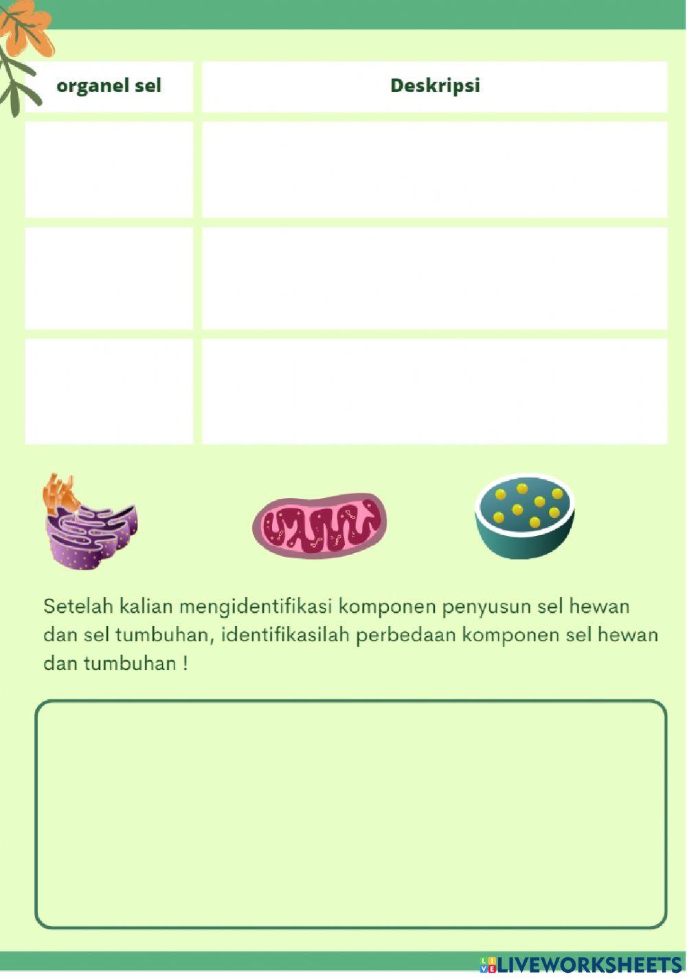 LKPD SEL (Kelompok Kinestetik)