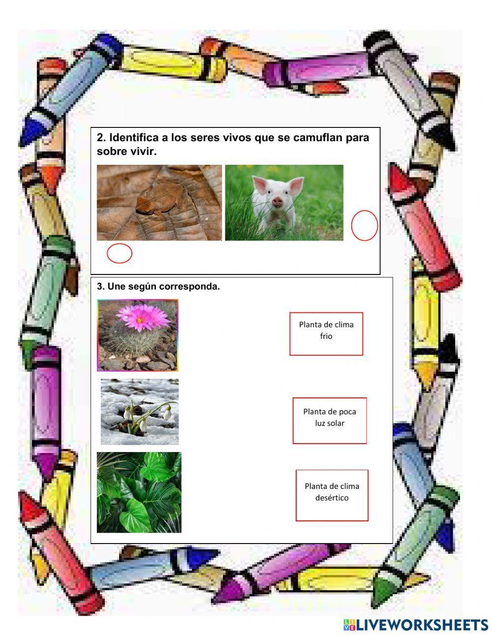 Adaptación de los seres vivos