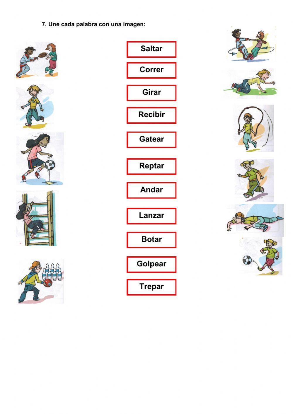 EDUCACIÓN FÍSICA 3º. REPASO