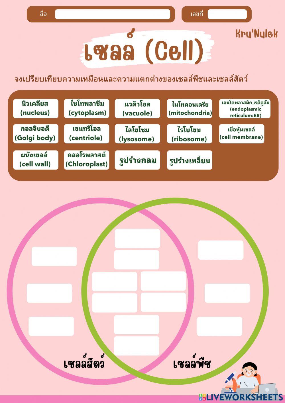 เปรียบเทรียบเซลล์พืชและเซลล์สัตว์