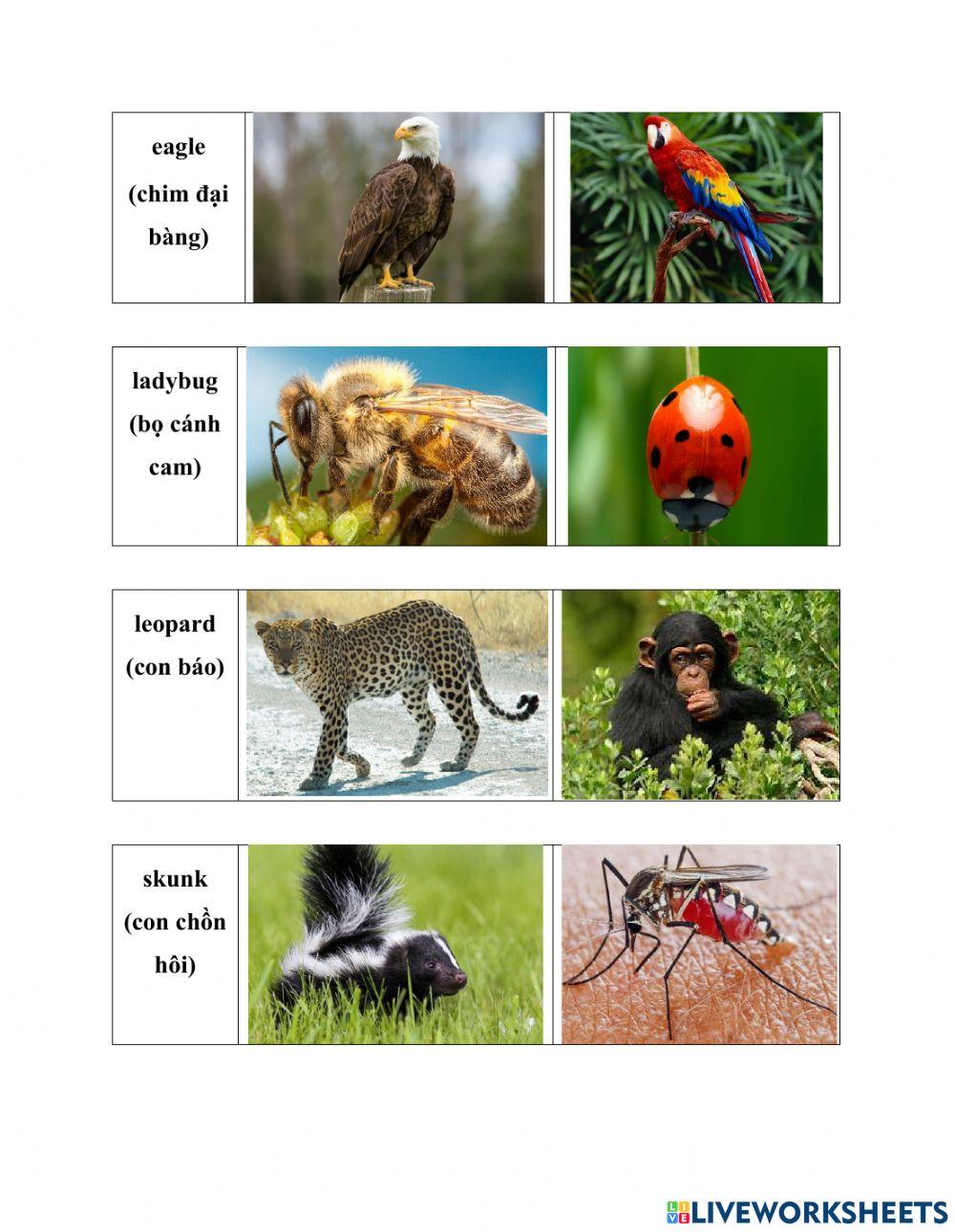 160723-3A1 Com Vocabulary