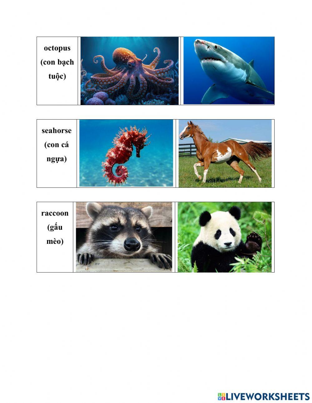 160723-3A1 Com Vocabulary