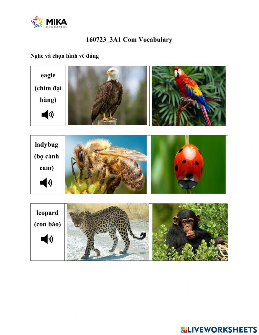 160723-3A1 Com Vocabulary