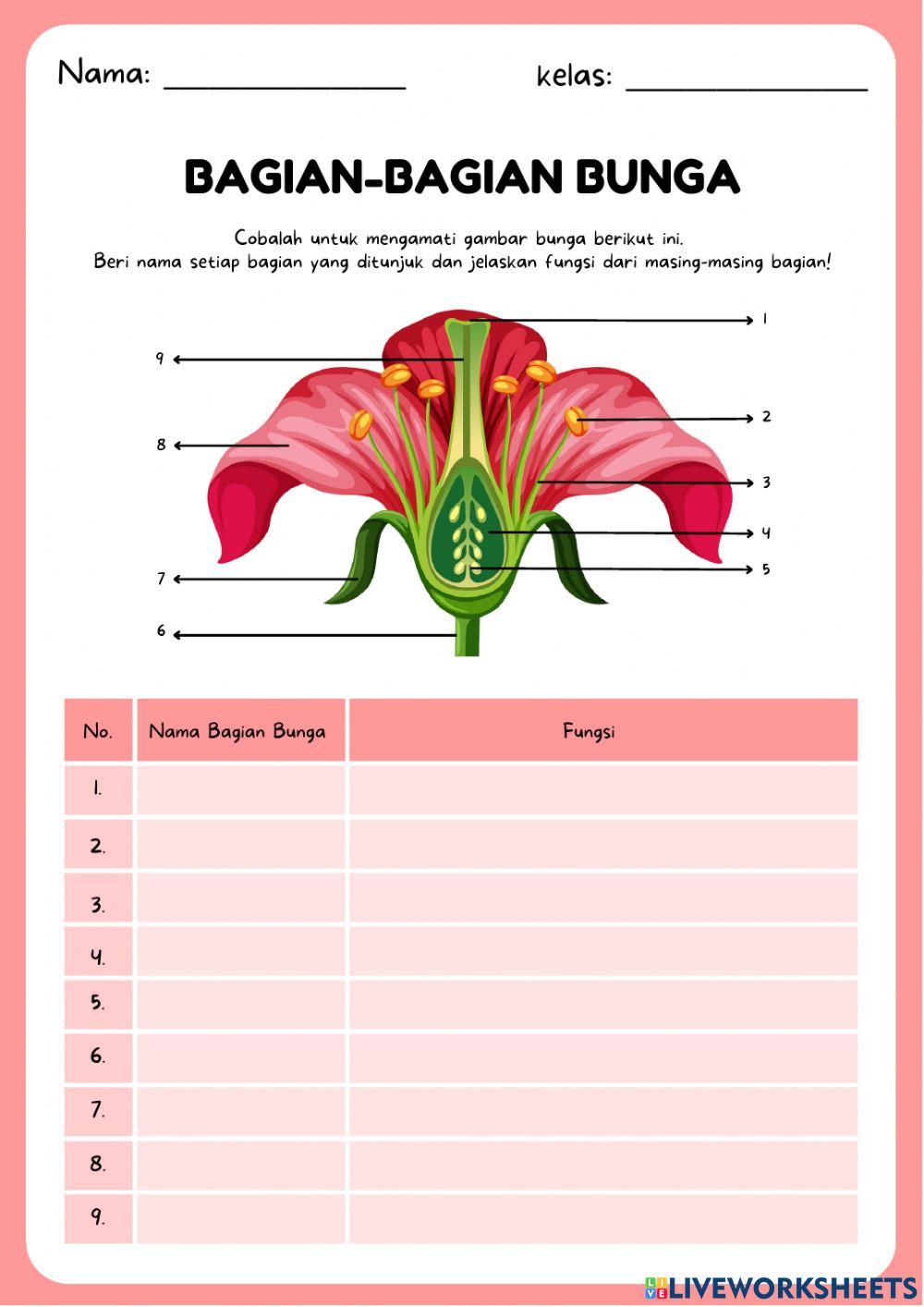 Bagian-bagian bunga lengkap