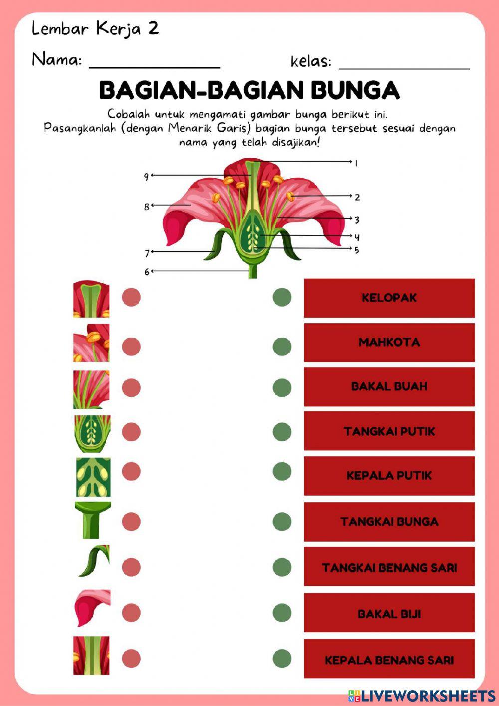 LKPD-Bagian-bagian Bunga