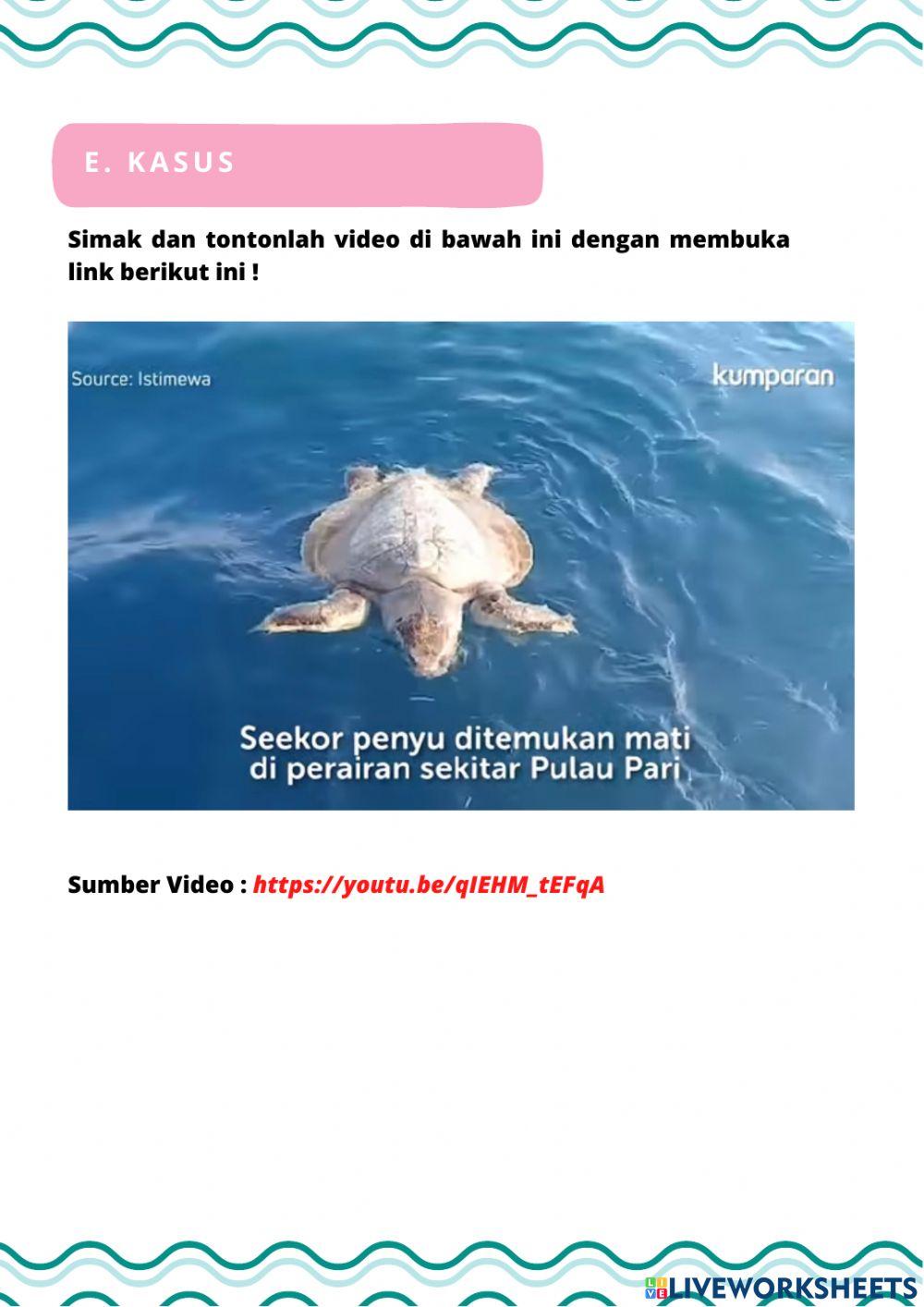 Refleksi Pertemuan 3 (Perubahan Lingkungan)