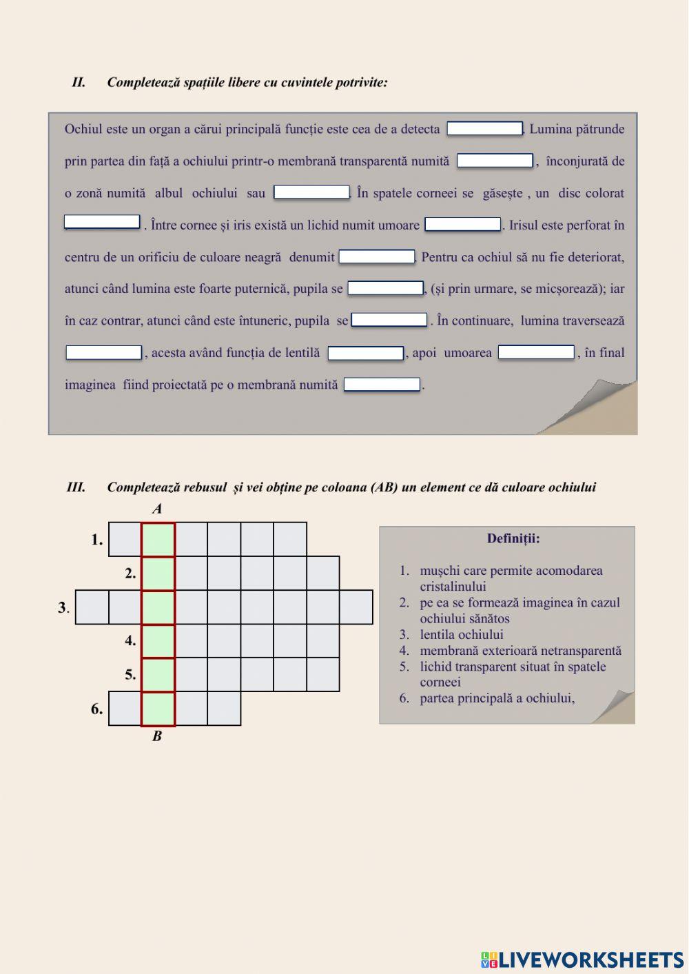 Propagarea luminii în ochiul uman