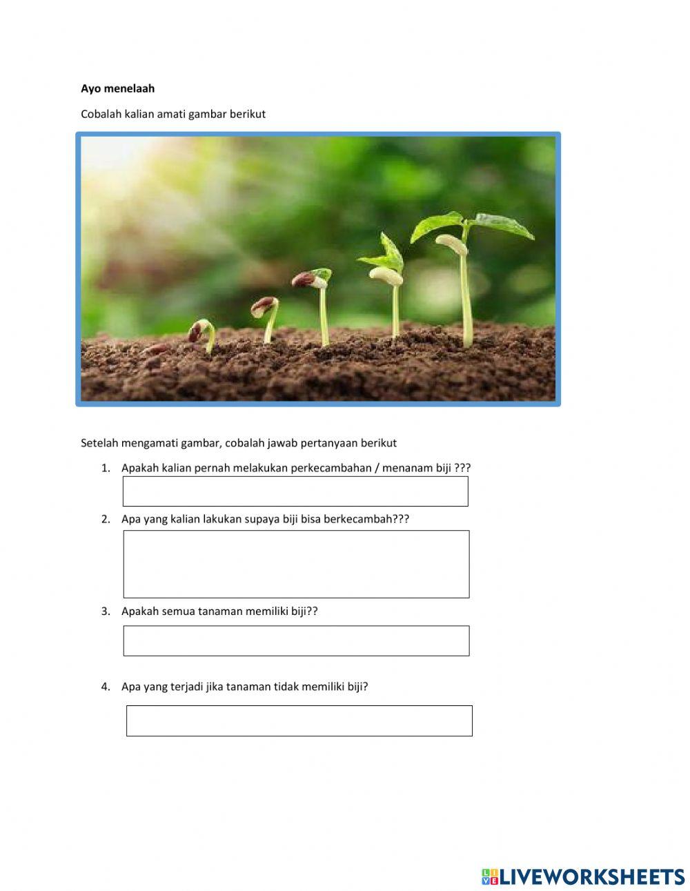 Pertumbuhan Perkembangan