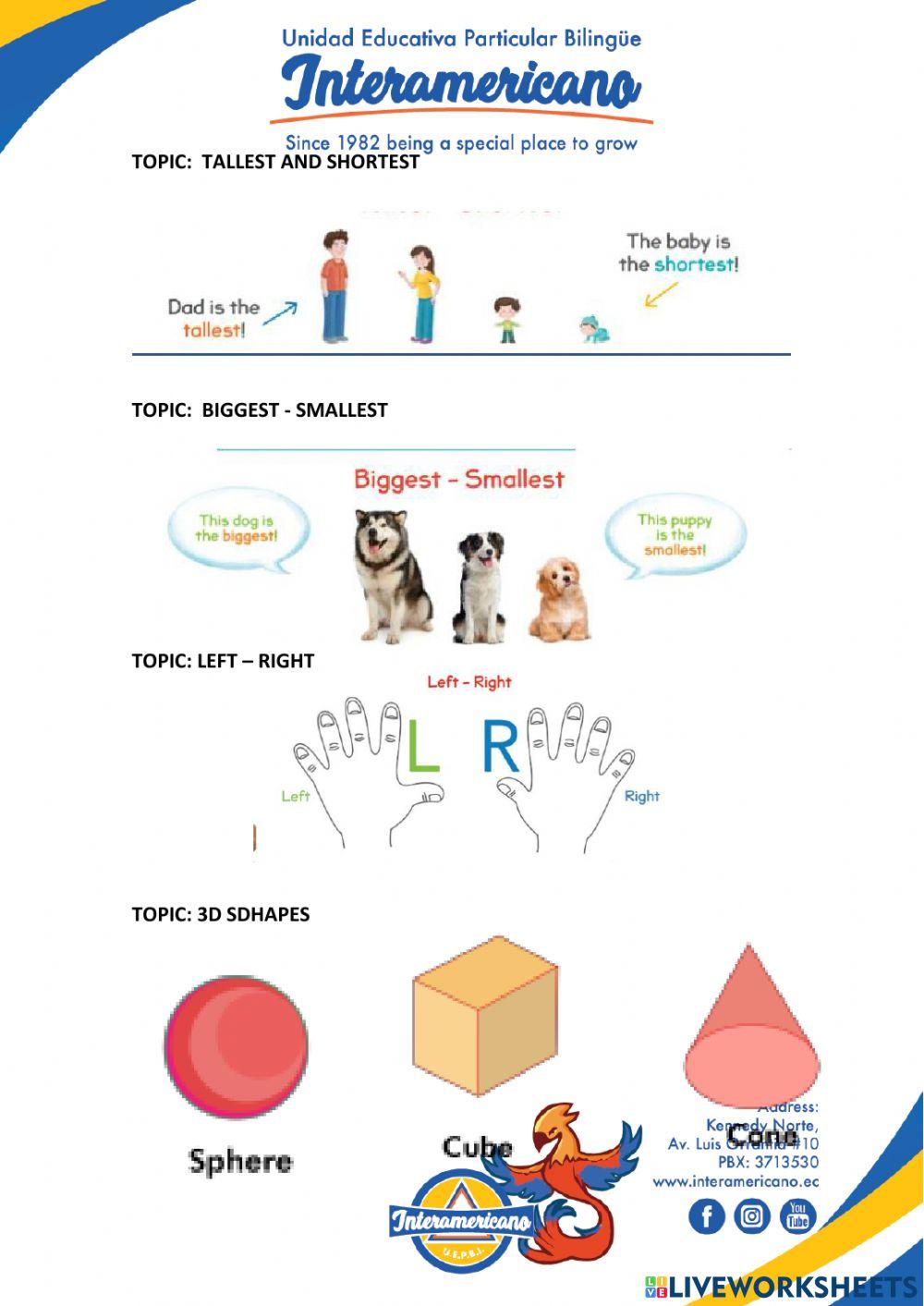 Weely activities 12, 13 and 14