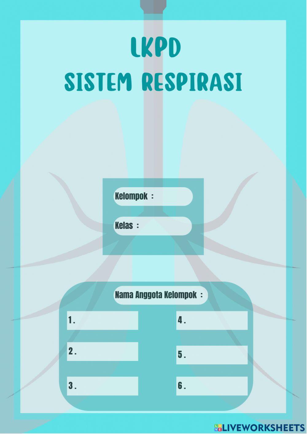 Sistem Respirasi