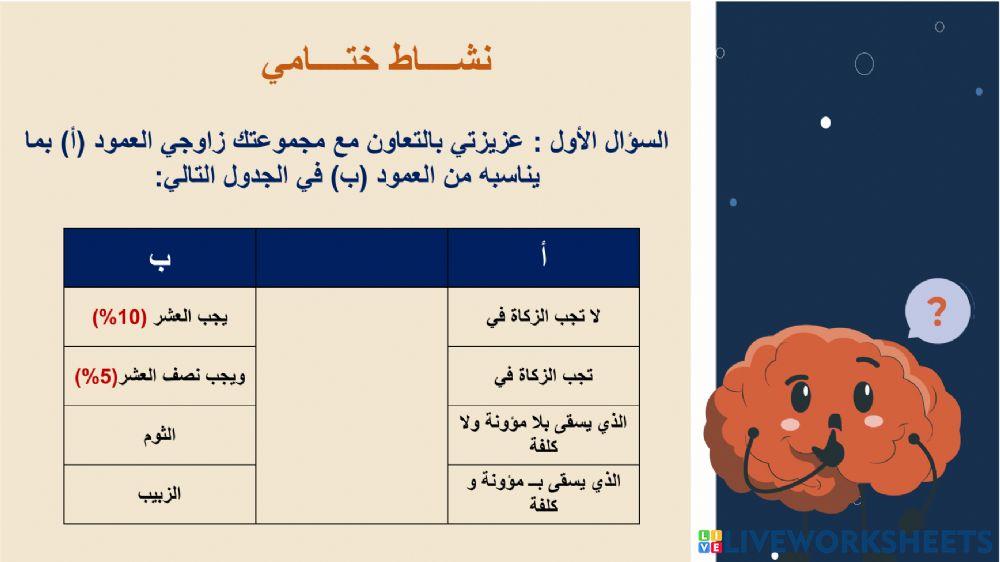 دراسات اسلامية