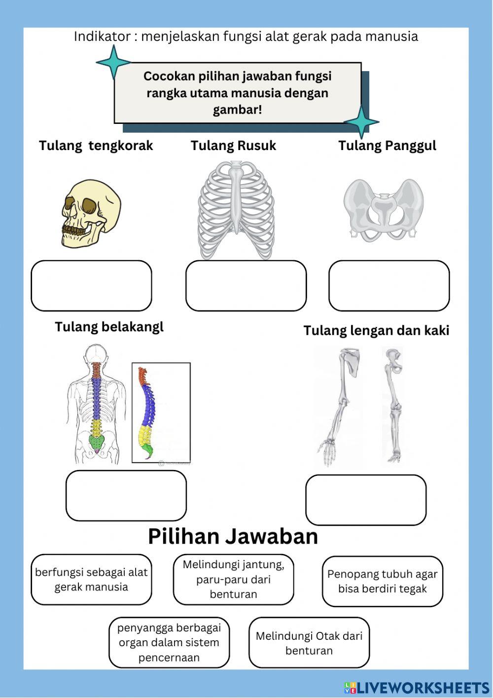 LKPD kelas 5 Tema 1 Subtema 2 Pembelajaran 2