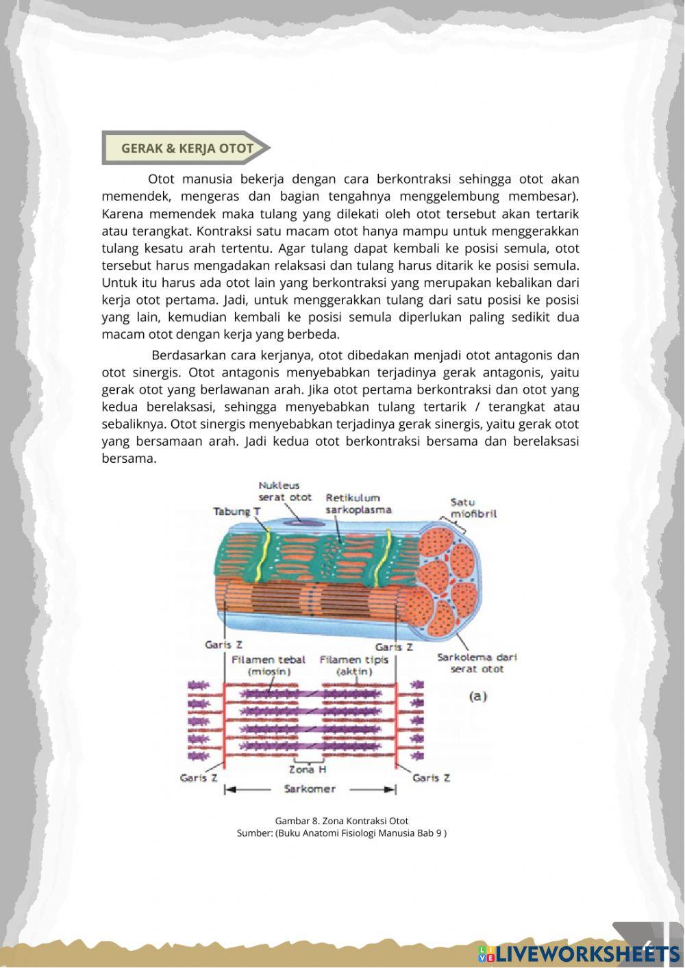Bagian 2 Sub Materi Otot & Analisis Gerakan Tari Topeng Ireng