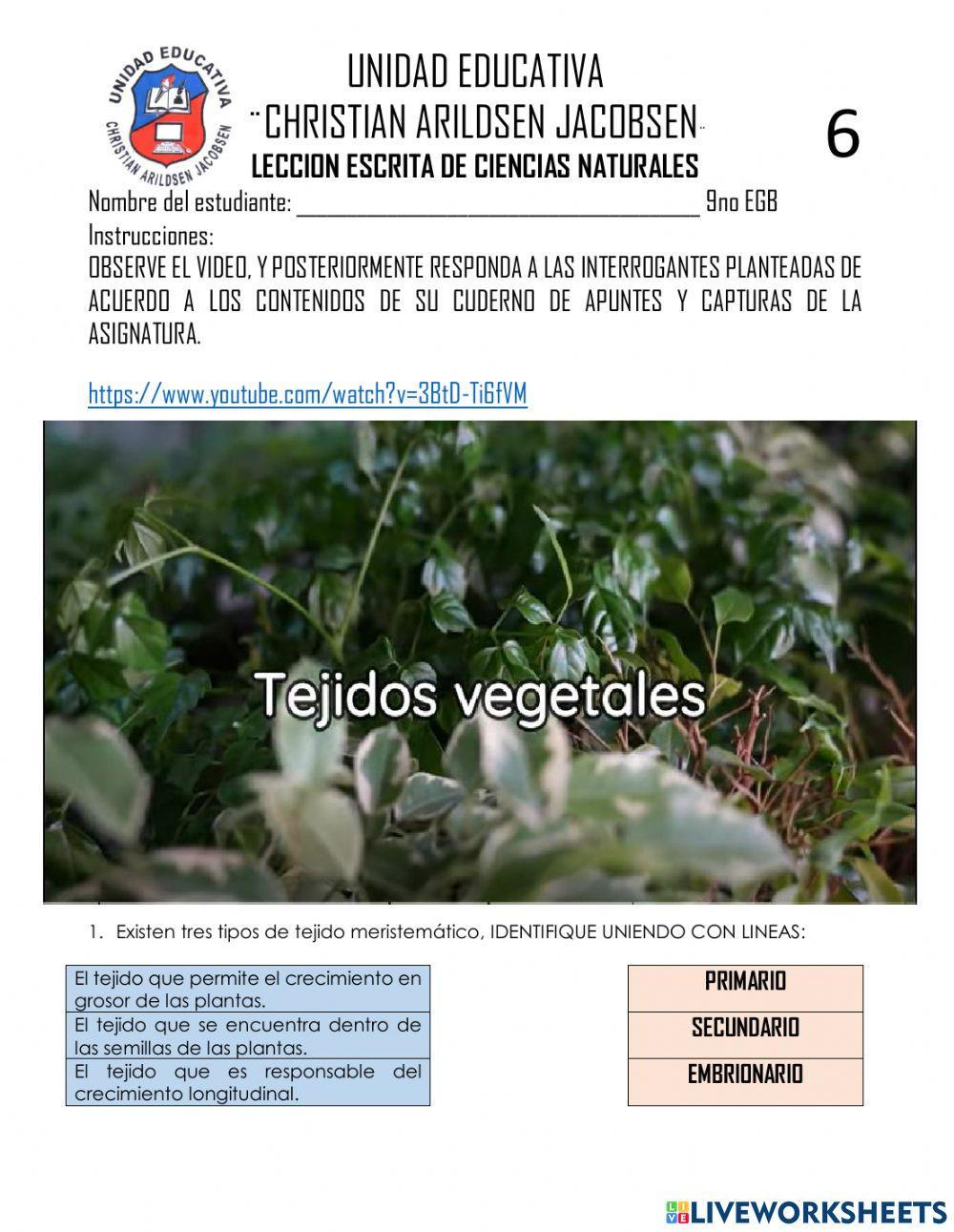 Actividad 06-ccnn