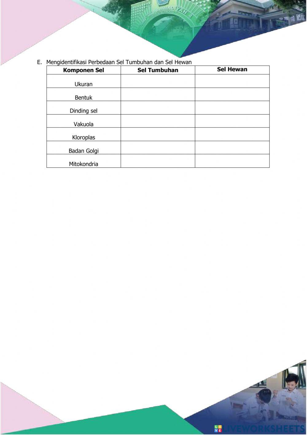 Sel Tumbuhan dan Sel Hewan