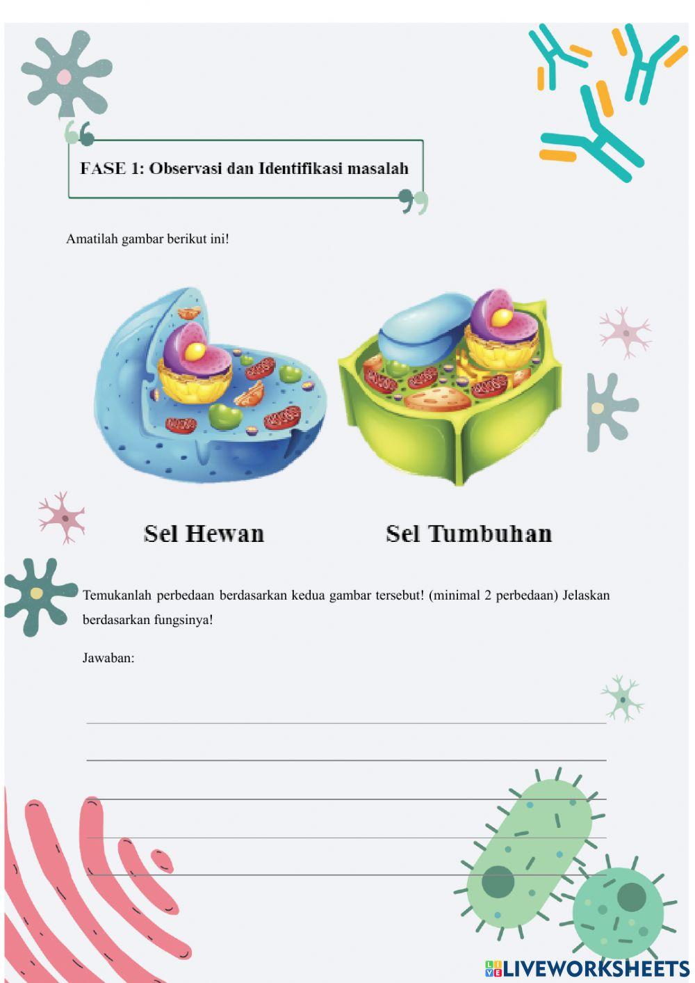 Lembar Kerja Peserta Didik Sel 1