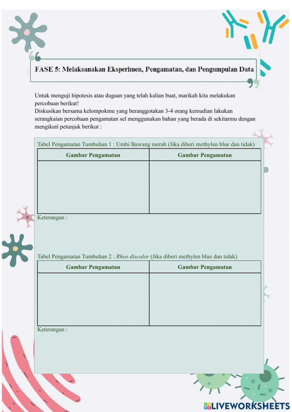 Lembar Kerja Peserta Didik Sel 1