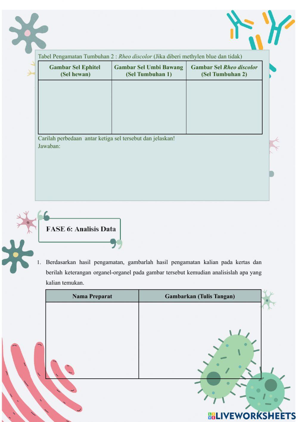 Lembar Kerja Peserta Didik Sel 1